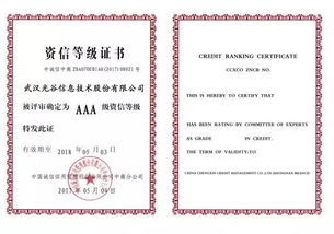 光谷信息2017 聚前行,夢遠(yuǎn)航 信息系統(tǒng)集成服務(wù)