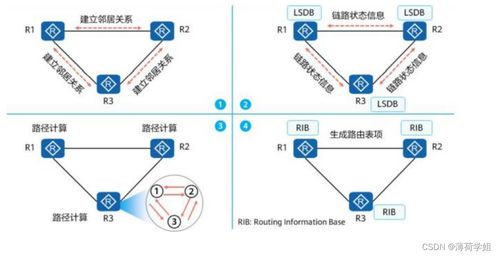 網絡工程師必備核心 深度解析OSPF協議及其在計算機網絡工程中的應用